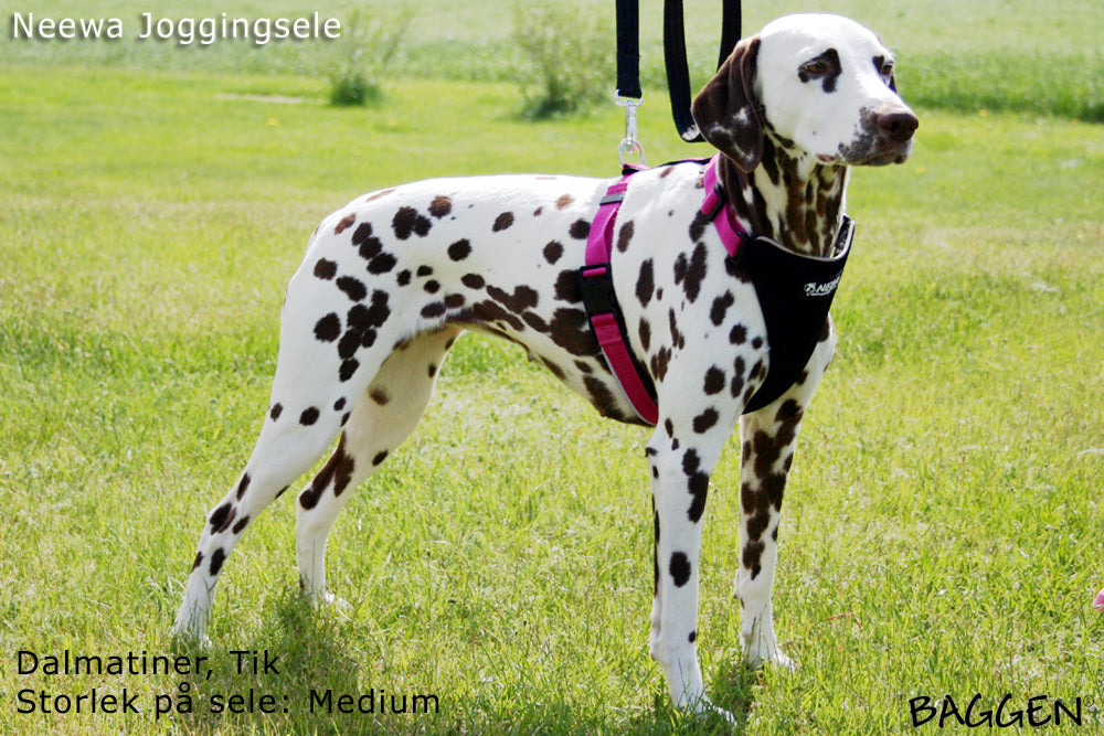 Joggingsele SVART / XS