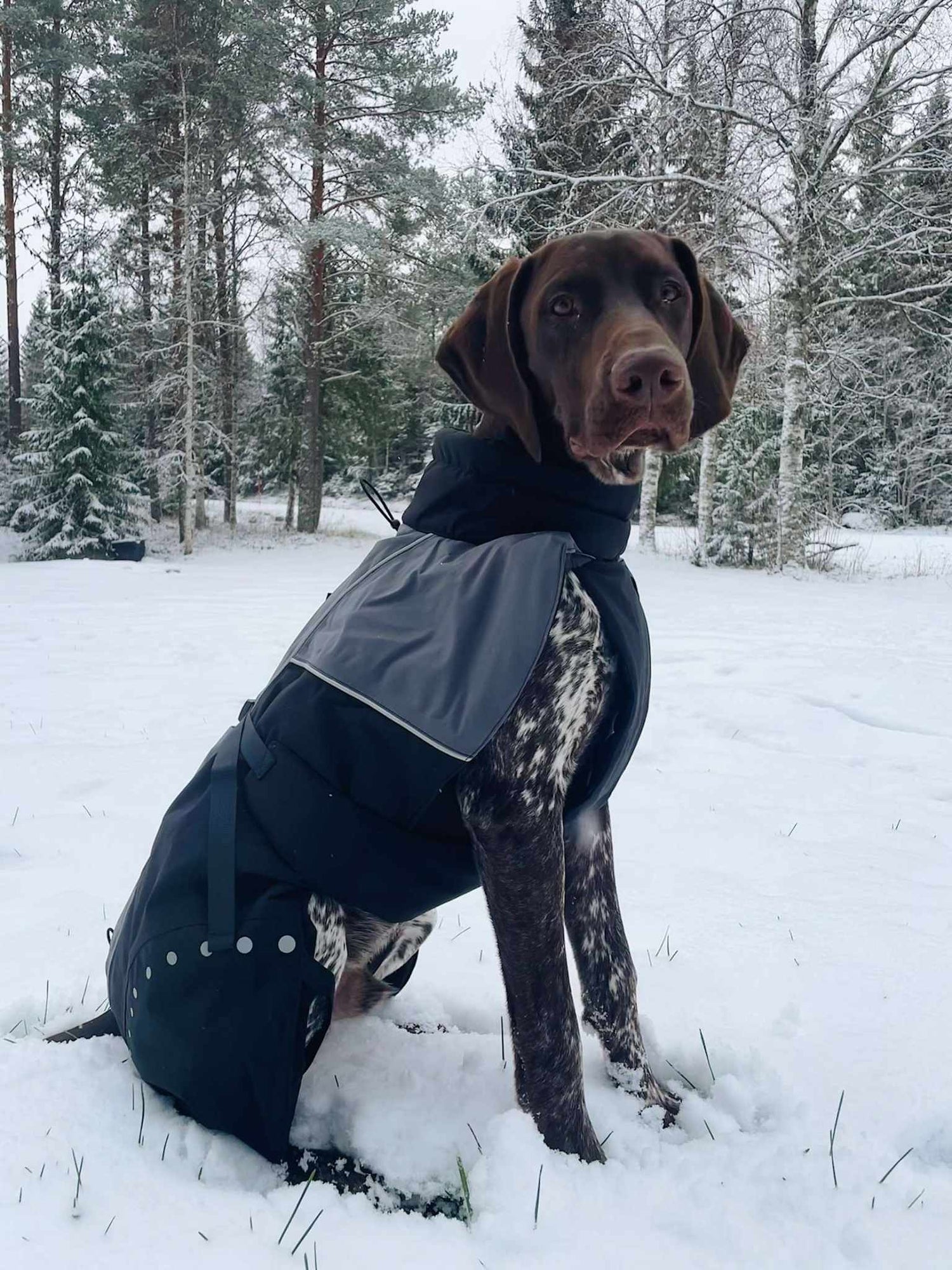 Hundtäcke ANTHRACITE/SVART / 25CM