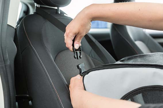 Bilsäte, 44 × 37 × 40 cm GRÅ/SVART / ONE SIZE