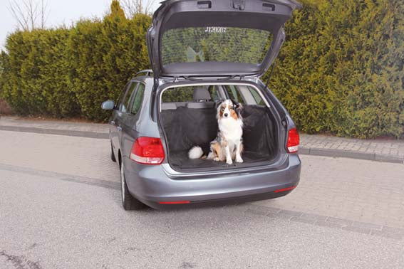 Bilskydd för bagageutrymme, 2,30 x 1,70 m SVART / ONE SIZE