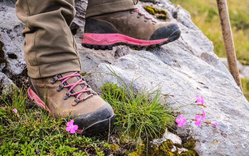 Valdres S.E GTX Women BROWN MAGENTA / 36