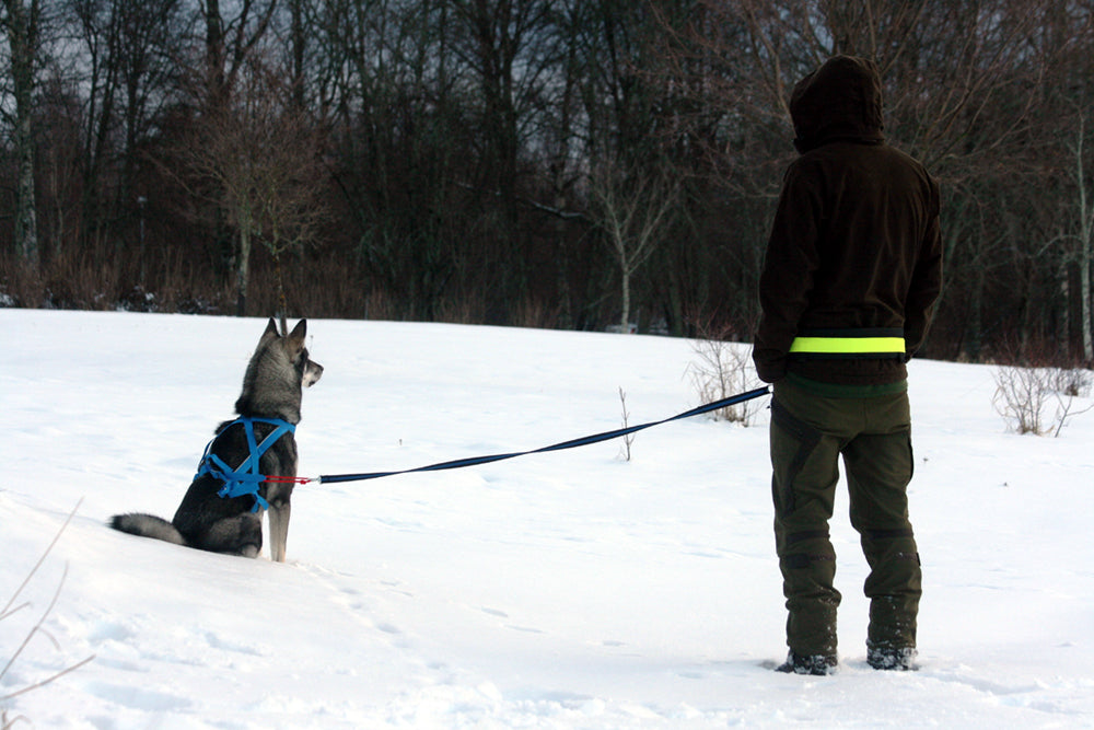 Softbelt Reflex Gul X1 (MJUKARE DÄMPNING)