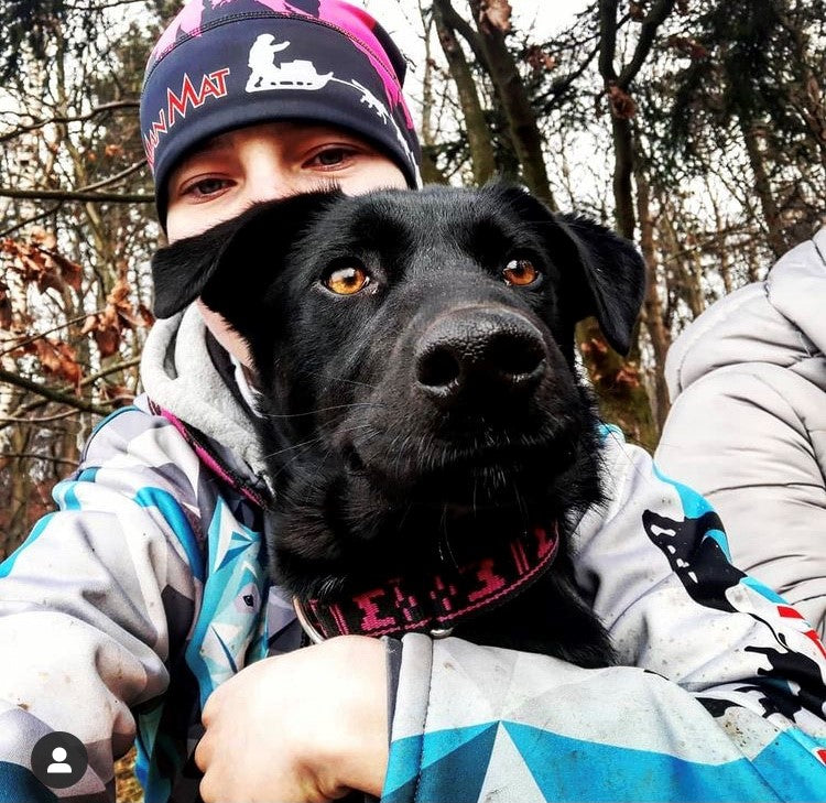 Standard Halsband ROSA / ONE SIZE