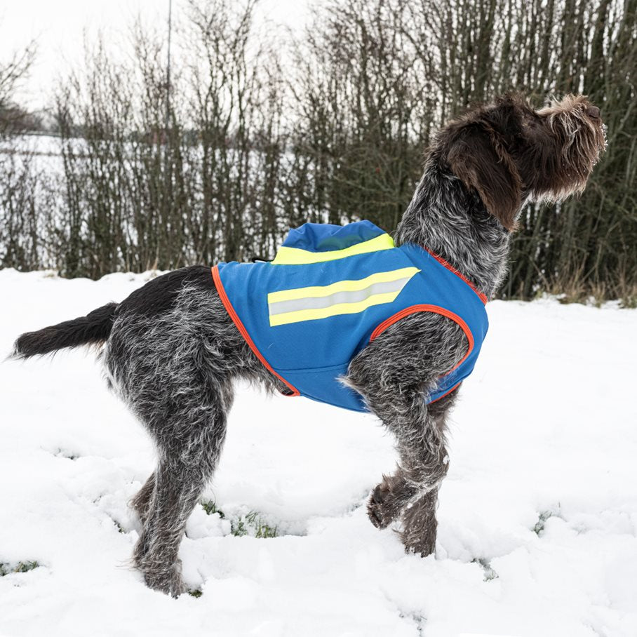 GPS Hundväst BLÅ / STL 0