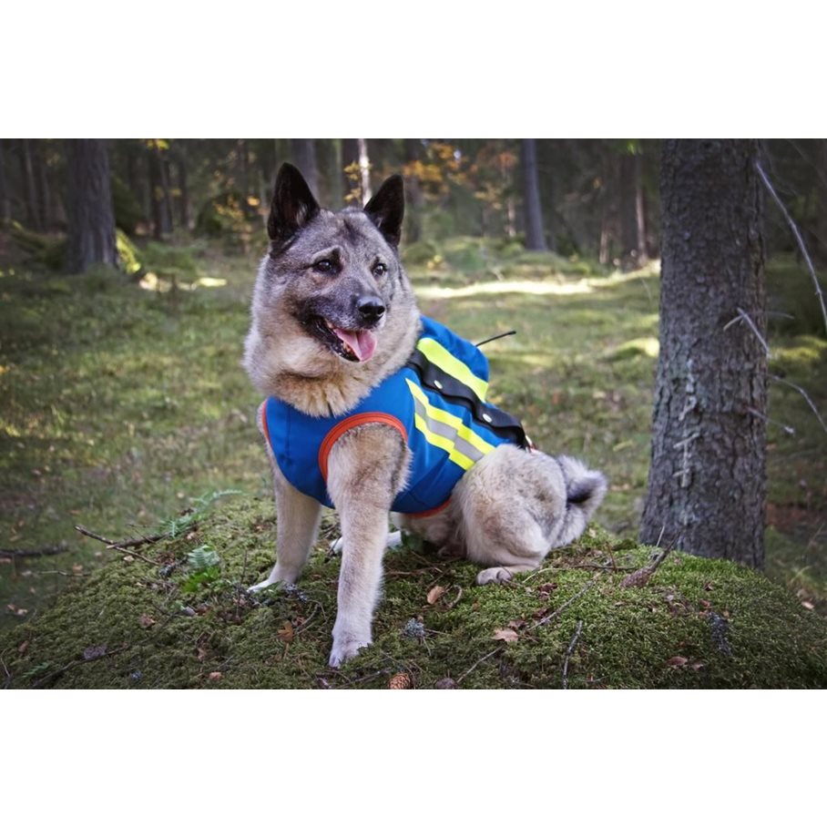 GPS Hundväst BLÅ / STL 0