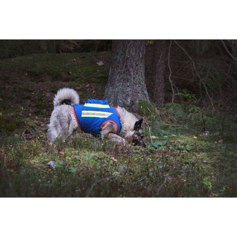 GPS Hundväst BLÅ / STL 4