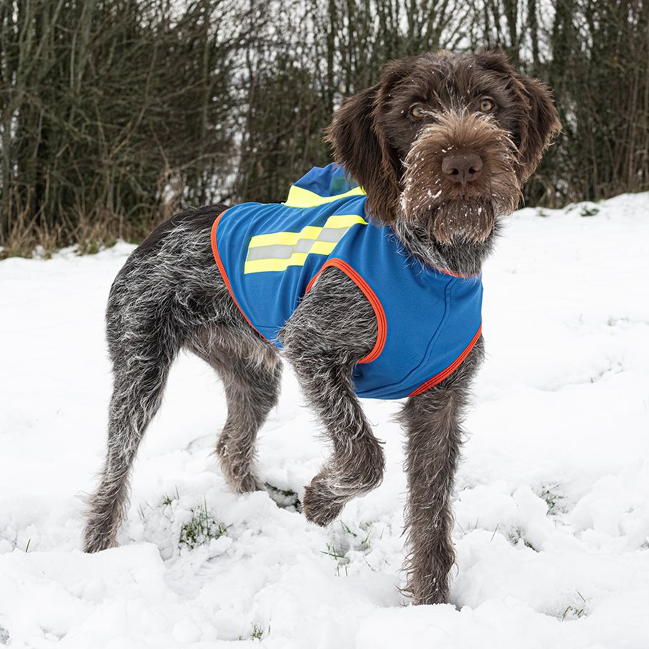 GPS Hundväst BLÅ / STL 6