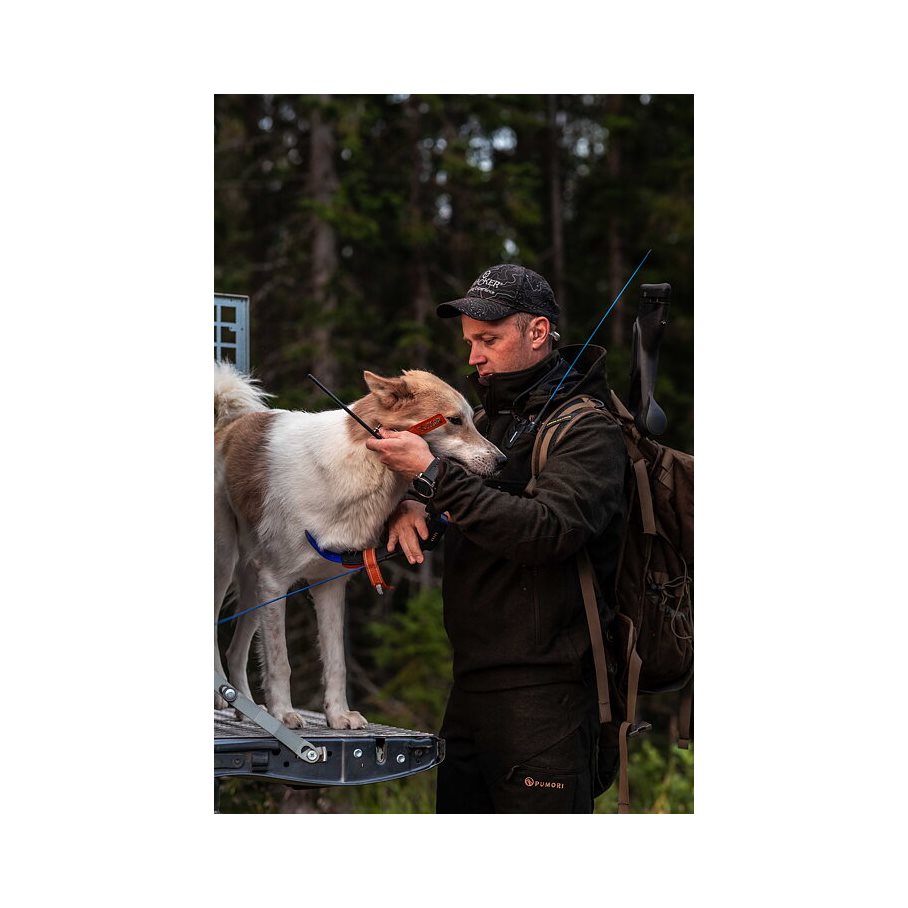 Loden Byxa GRÖN / 54