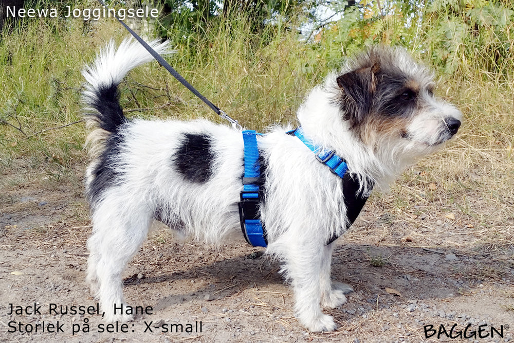 Joggingsele BLÅ / XS