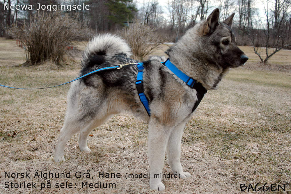 Joggingsele BLÅ / S