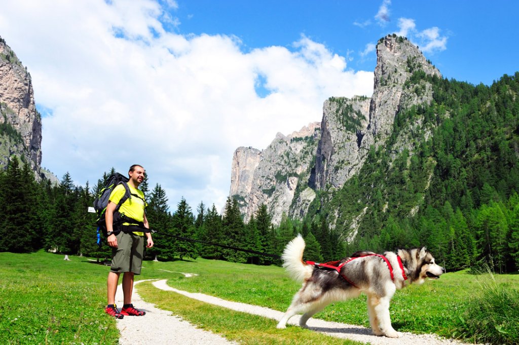 Sled Pro Dragsele RÖD / XXL