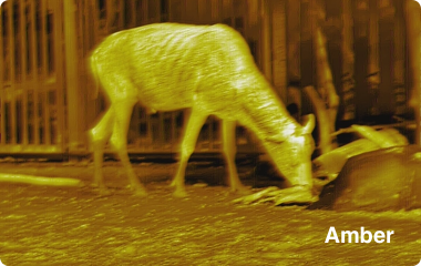 Ranger 384x288, 25 mm Värmekamera