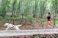 Joggingbälte ONE SIZE