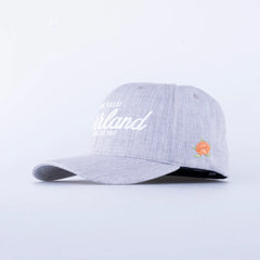 Great Norrland Flex Cap GREY / S-M (57-58)