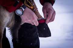 Sockor Cordura 20-pack SMALL