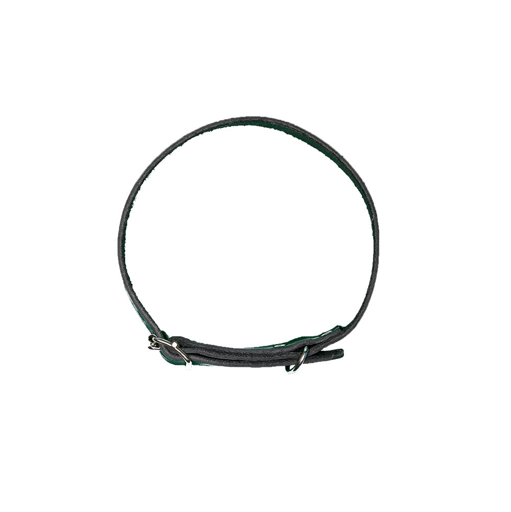 Hundhalsband 25mm SVART / ONE SIZE