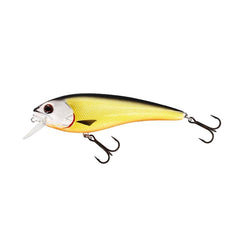 Rawbite 17 cm 100 g Floating Wobbler OFFICIAL ROACH / 17 CM / 100 GRAM