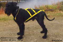 Sled Dog X-Back GUL / L