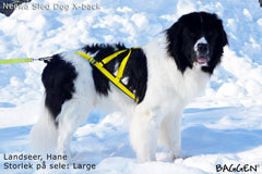 Sled Dog X-Back GUL / L