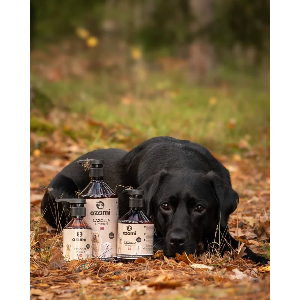 Ozami Laxolja - Naturligt Omega-3 Tillskott för Hund