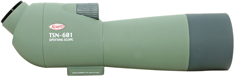 TSN-601