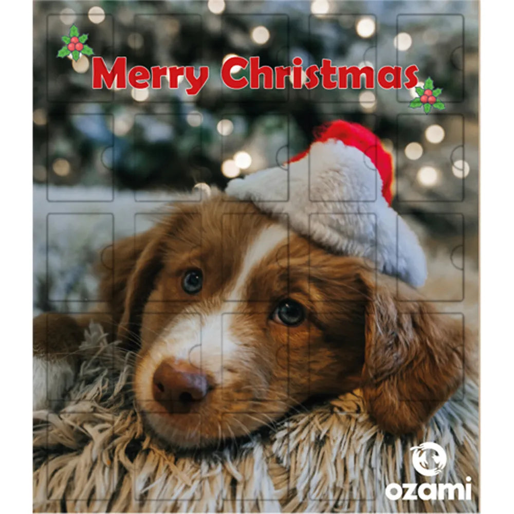 Adventskalender Hund - Julkalender med Dagliga Överraskningar